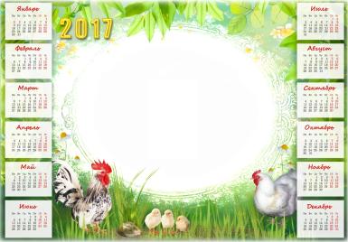 Календарь 2017 с петухом и курицей. Летний календарь на 2017 год с символом года. Петух, курица и цыплята. Семья.